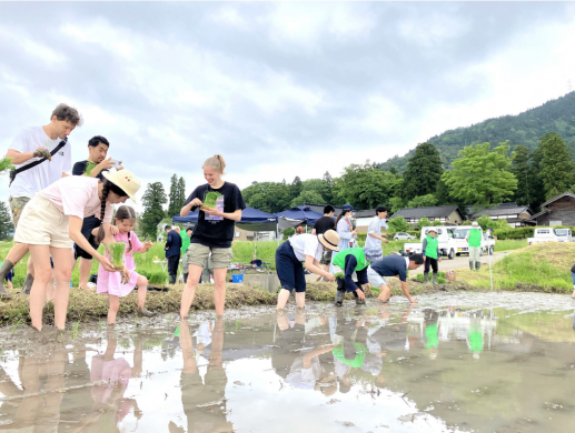 【2026年5月17日(日) 】志観寺の棚田で田植え体験   はじめての泥んこも、今日はちょっと楽しい !!-1