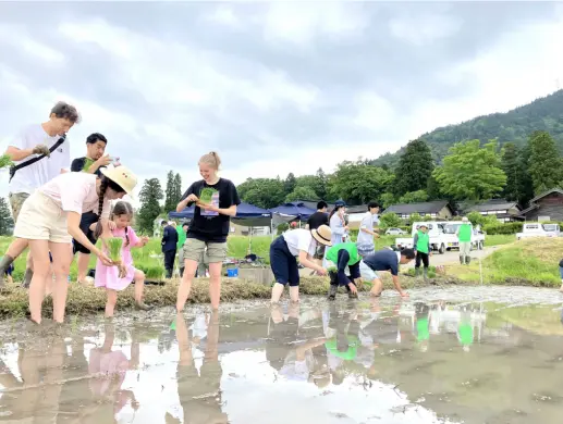 【2026年5月17日(日) 】志観寺の棚田で田植え体験   はじめての泥んこも、今日はちょっと楽しい !!-1