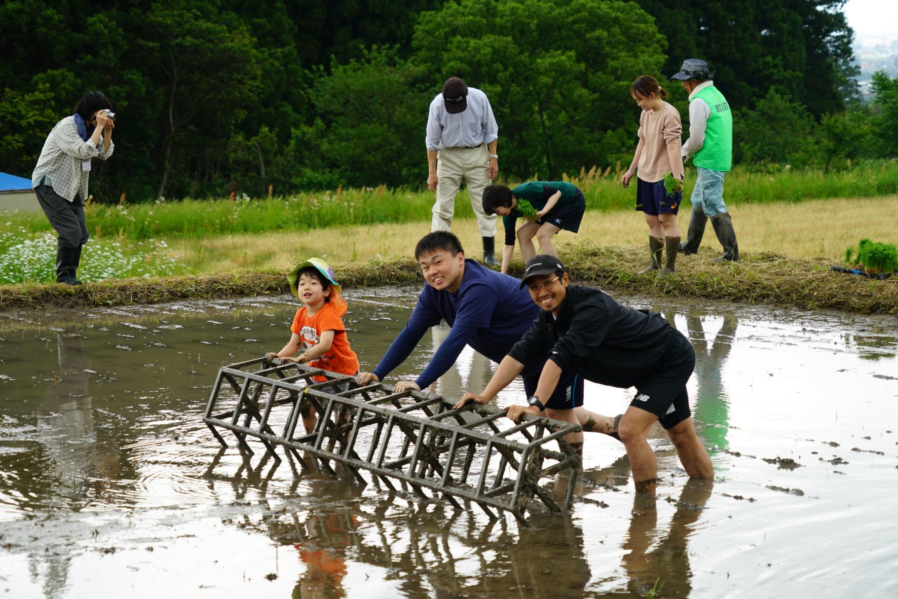 【2026年5月17日(日) 】志観寺の棚田で田植え体験   はじめての泥んこも、今日はちょっと楽しい !!-2