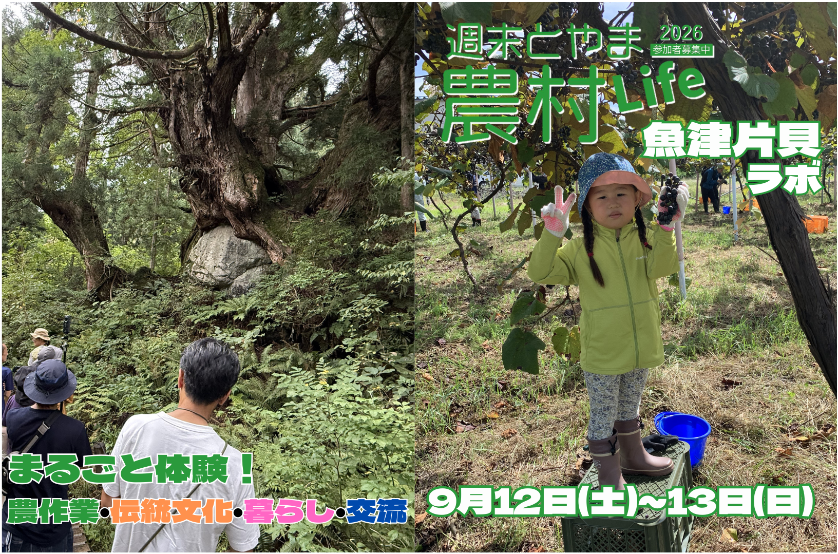 週末とやま農村Life「魚津片貝ラボ」-1