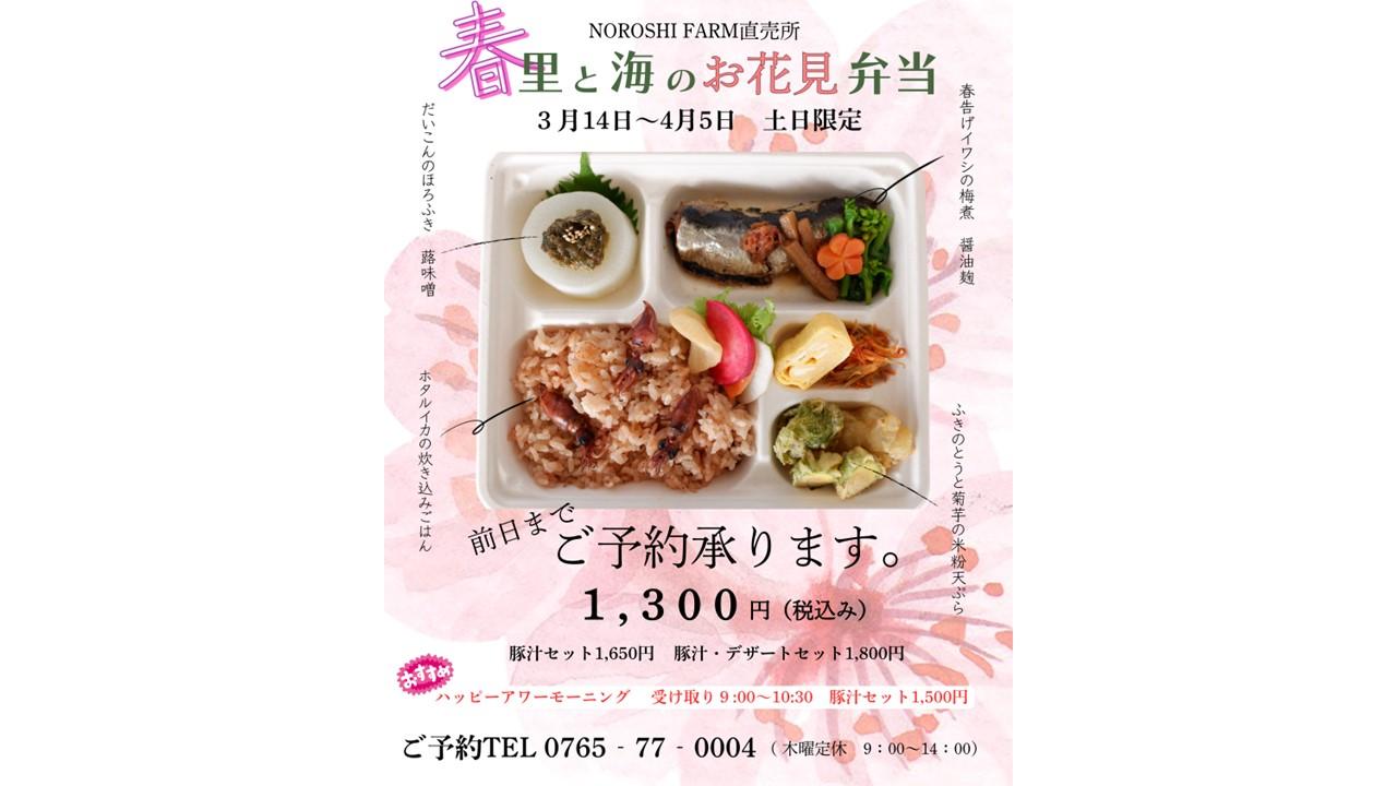 NOROSHI FARM 直売所春の企画『春の里と海のお花見弁当』-1