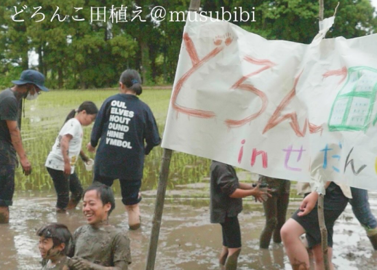 【2026年5月10日開催】musubibiどろんこ田植え-0