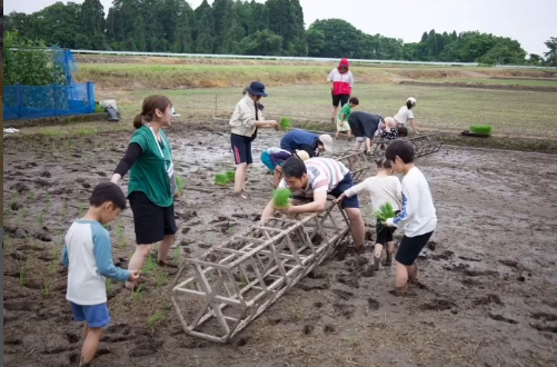 【2026年5月10日開催】musubibiどろんこ田植え-1