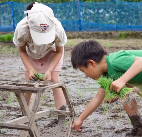 【2026年5月10日開催】musubibiどろんこ田植え-2