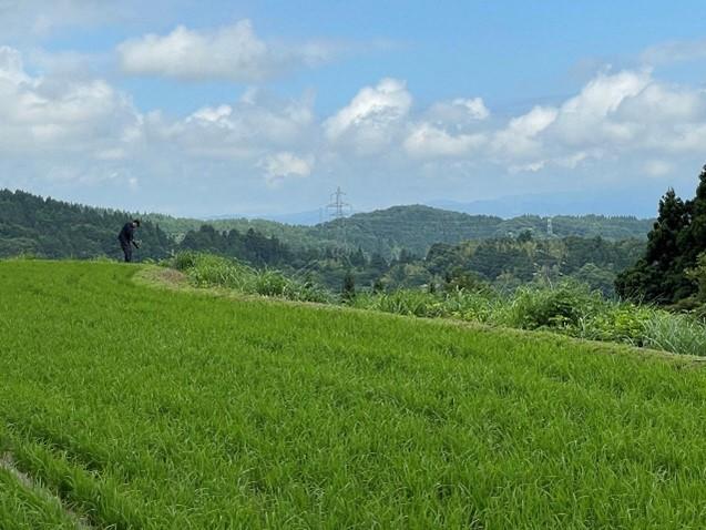 🌾 富山市山田清水地域「とやま農業・農村サポーター」募集中！ 🌿-1