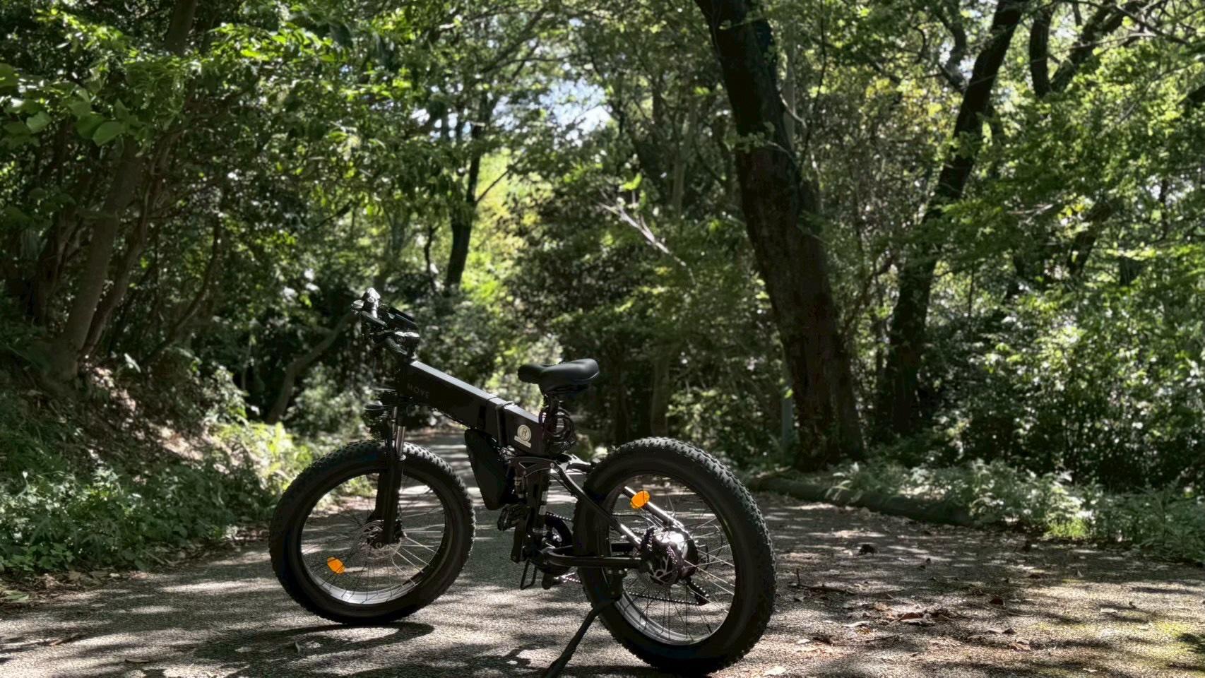 E-bike cycling-3