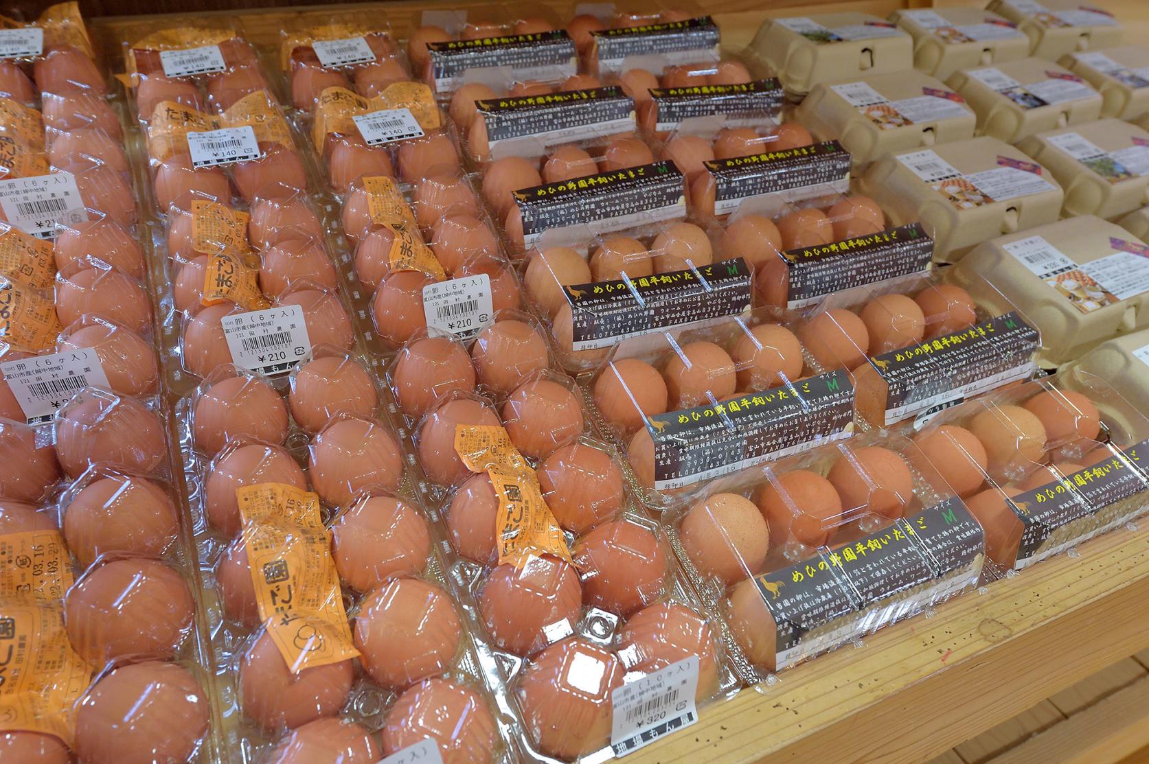 地場もん屋総本店-7