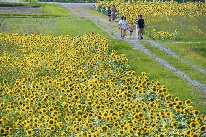 #秋の舟川べり2026 Instagramフォトコンテスト-4