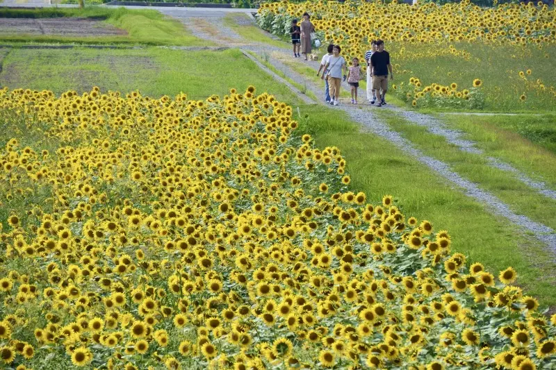 #秋の舟川べり2026 Instagramフォトコンテスト-4
