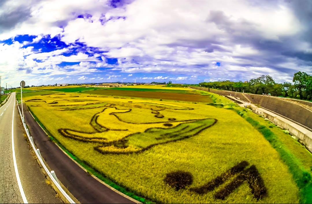 #秋の舟川べり2026 Instagramフォトコンテスト-7