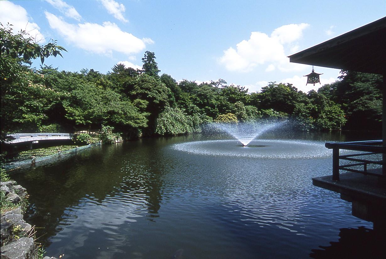 高岡城わくわくフェスティバル！-0