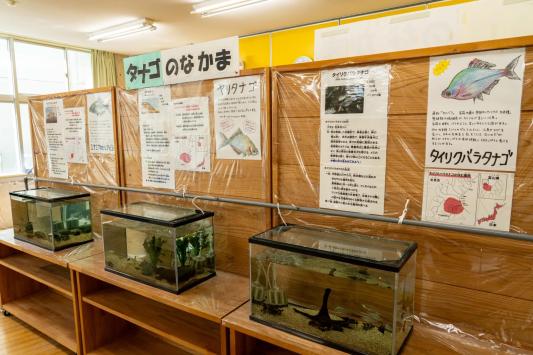 ひみラボ水族館-3