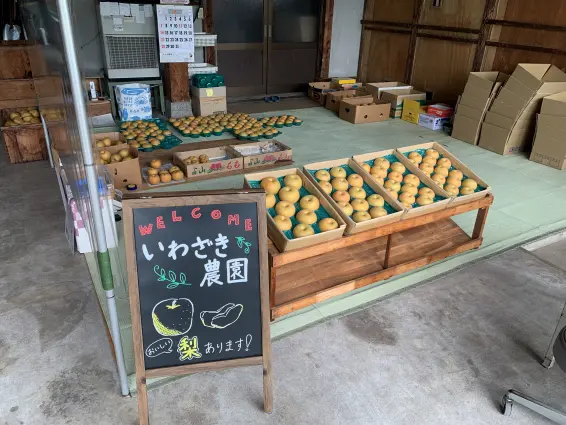 いわざき農園-6
