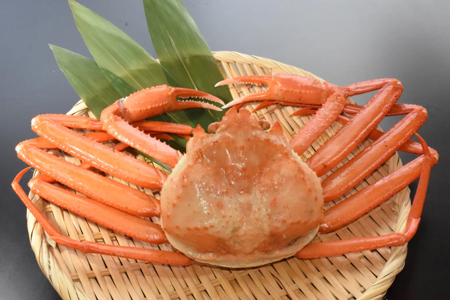 食処 海み屋～うみや～（新湊きっときと市場 別棟）-3