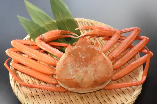 食処 海み屋～うみや～（新湊きっときと市場 別棟）-3