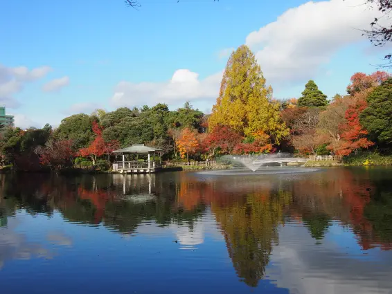 高岡古城公園　秋の紅葉ライトアップ＆フォトコンテスト-1