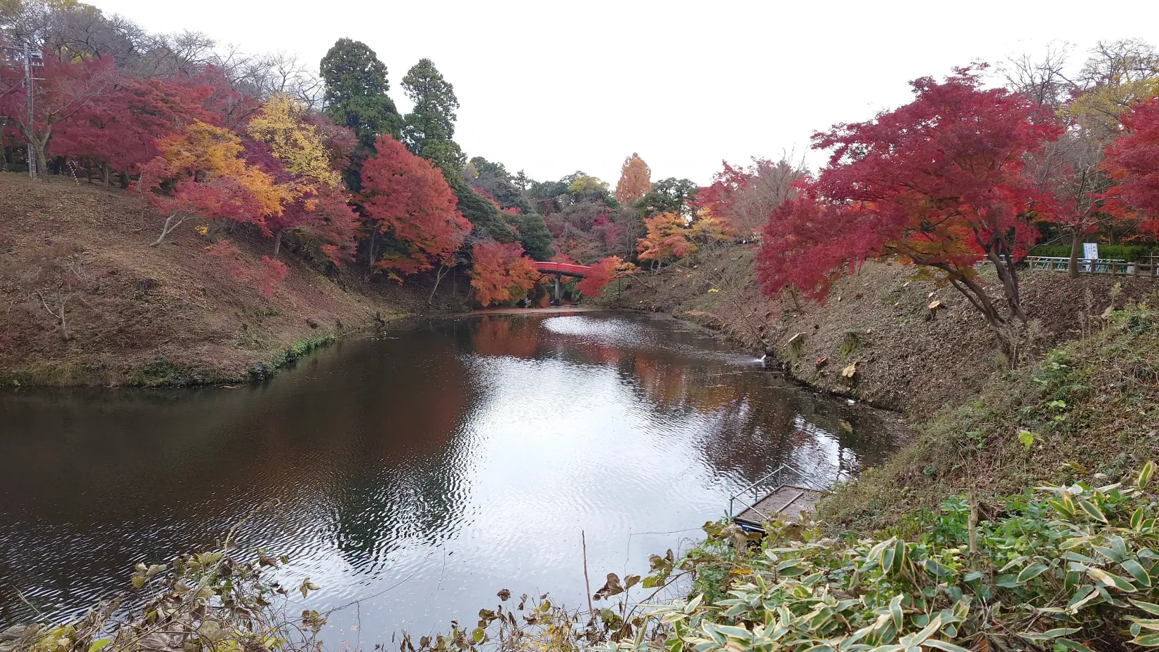 高岡古城公園　秋の紅葉ライトアップ＆フォトコンテスト-2