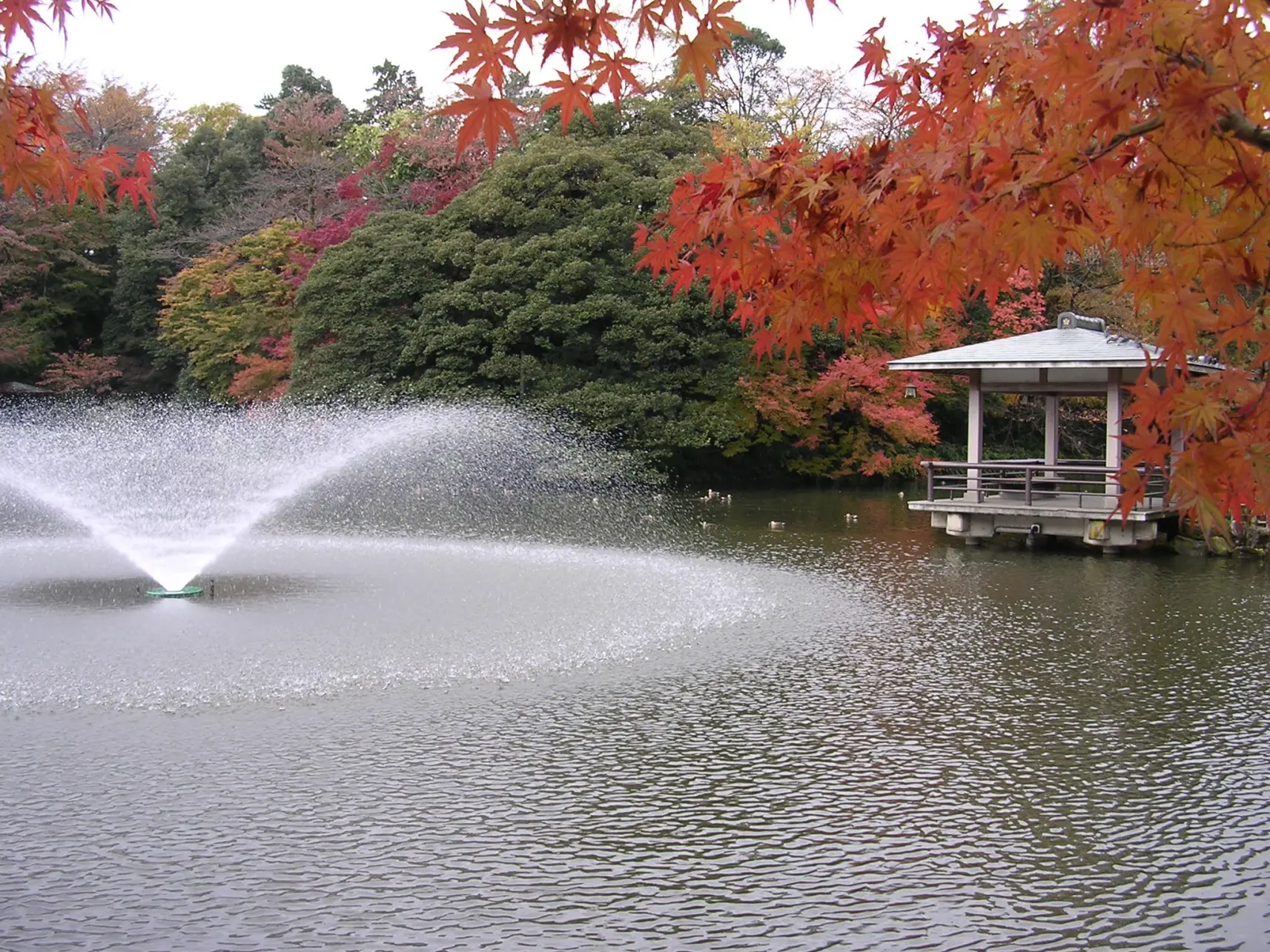 高岡古城公園　秋の紅葉ライトアップ＆フォトコンテスト-0