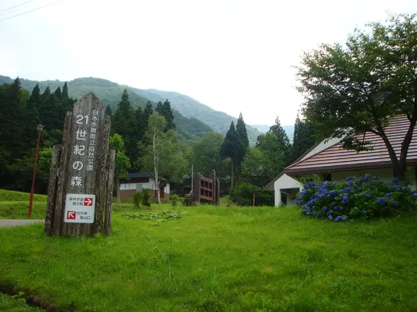 白木峰　21世紀の森・森林学習展示館-2
