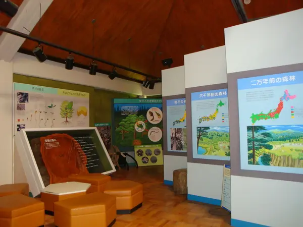 白木峰　21世紀の森・森林学習展示館-3