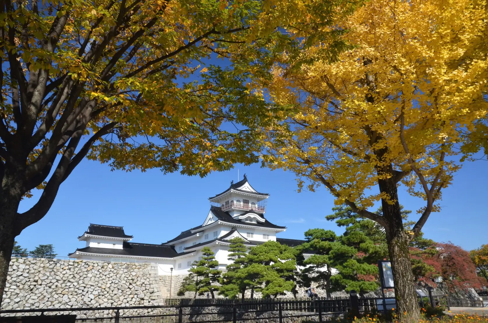 富山城址公園-7