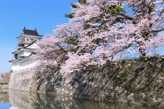 富山城址公園-8