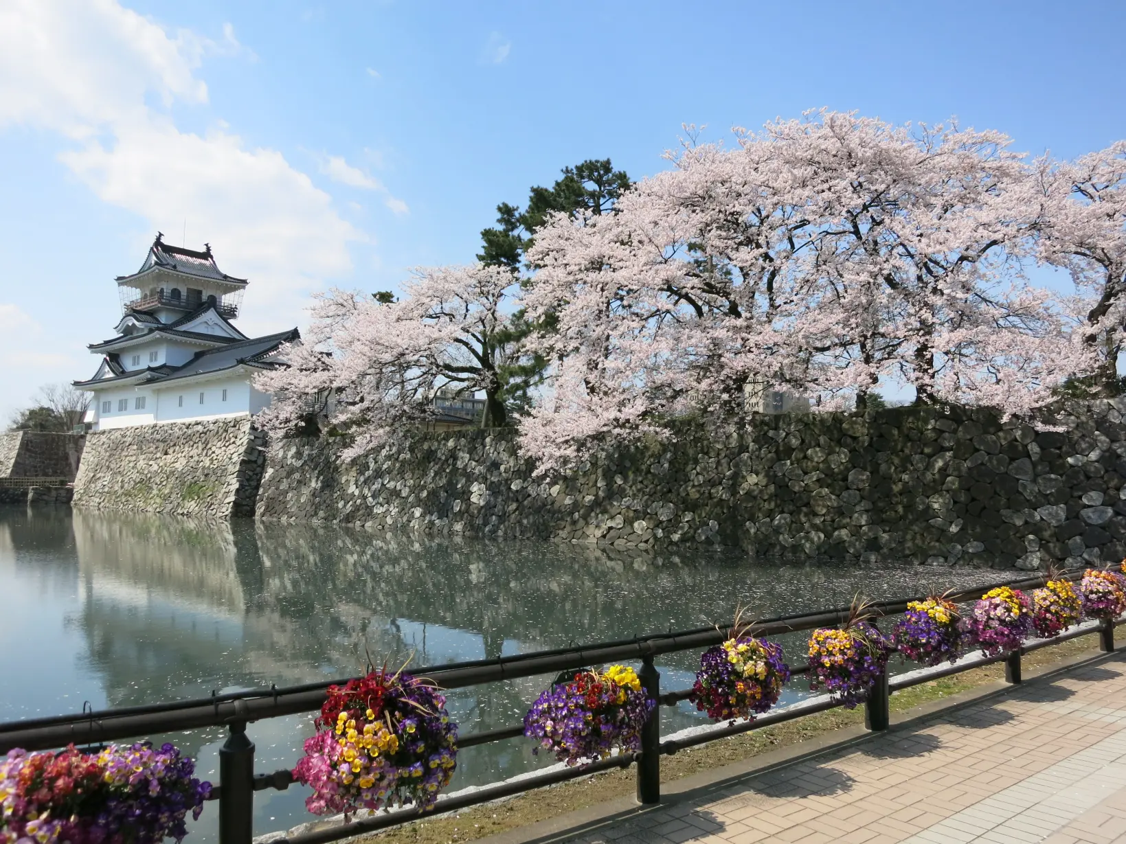 富山城址公園-9