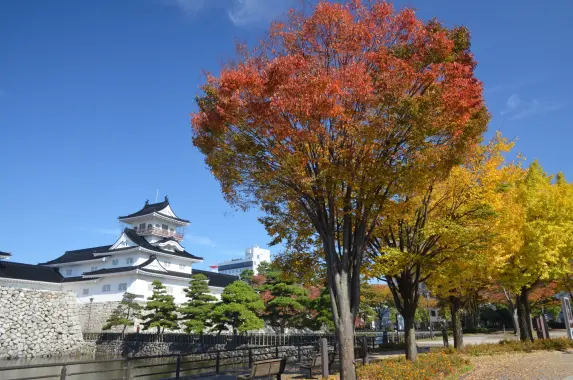 富山城址公園-6