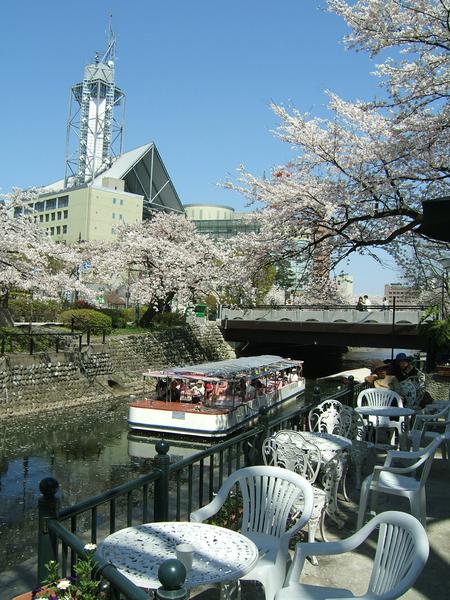 Toyama City Office Observation Tower-3