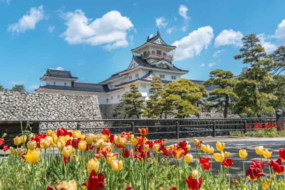 富山城  /  富山市郷土博物館-3