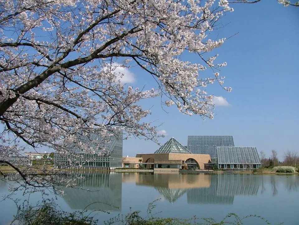 中央植物園の春