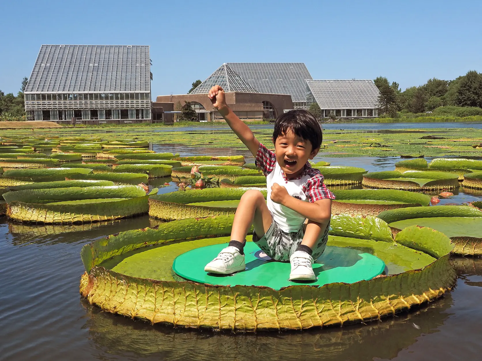 富山 県 中央 植物園
