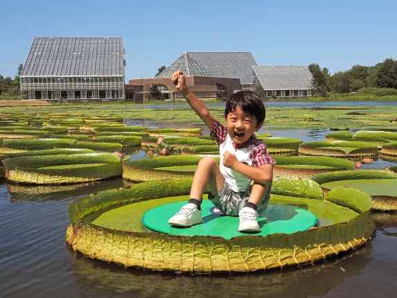 富山縣中央植物園-5
