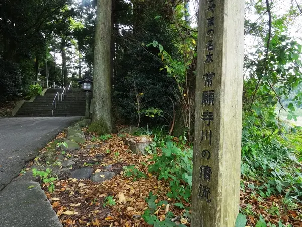 常願寺川の清流-1