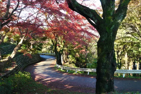 呉羽丘陵（呉羽山公園展望台）-4
