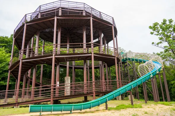 割山森林公園　天湖森-6