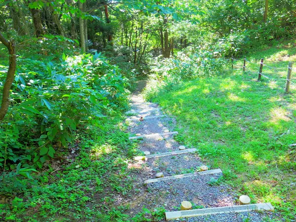 富山県自然博物園ねいの里-2