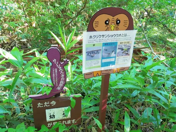 富山県自然博物園ねいの里-3