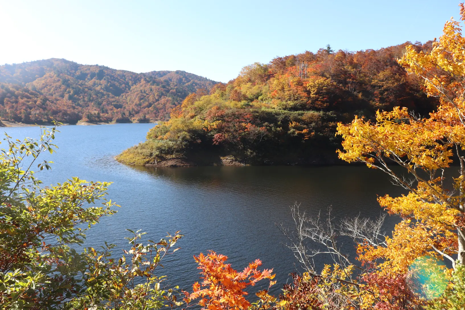 有 峰 森林 文化 公園