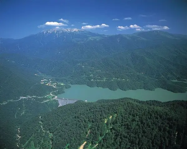 水と緑といのちの森を永遠に