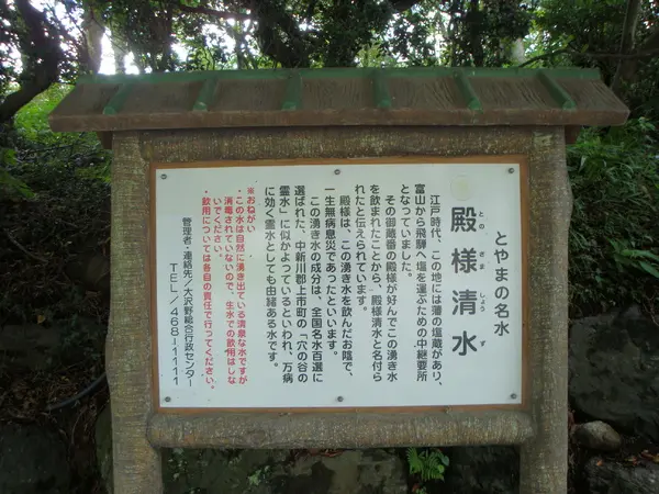 殿様清水-1