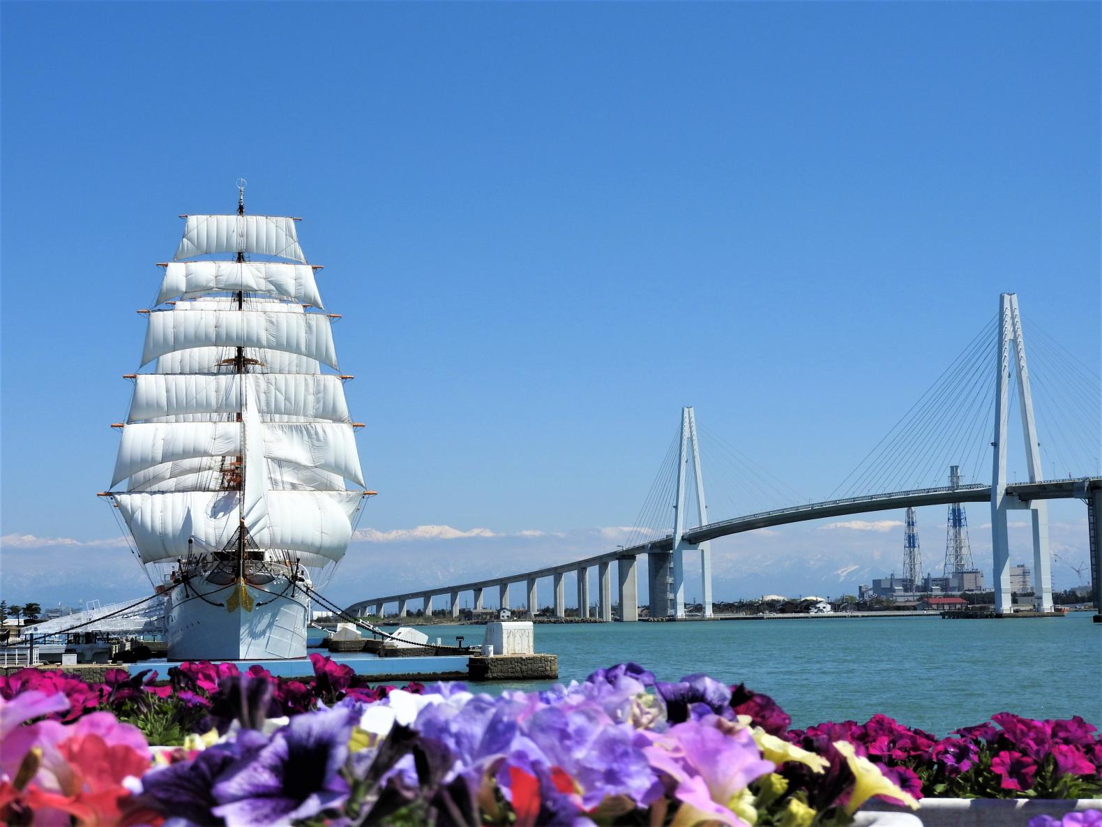 海王丸パークフェスティバル-1