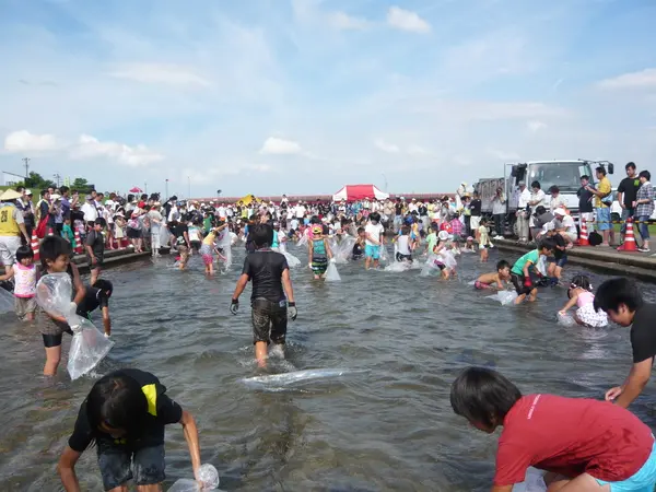 みんなで鯉のつかみ取り！※参加費が必要です
