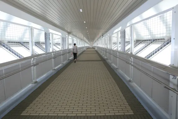 新湊大橋-4