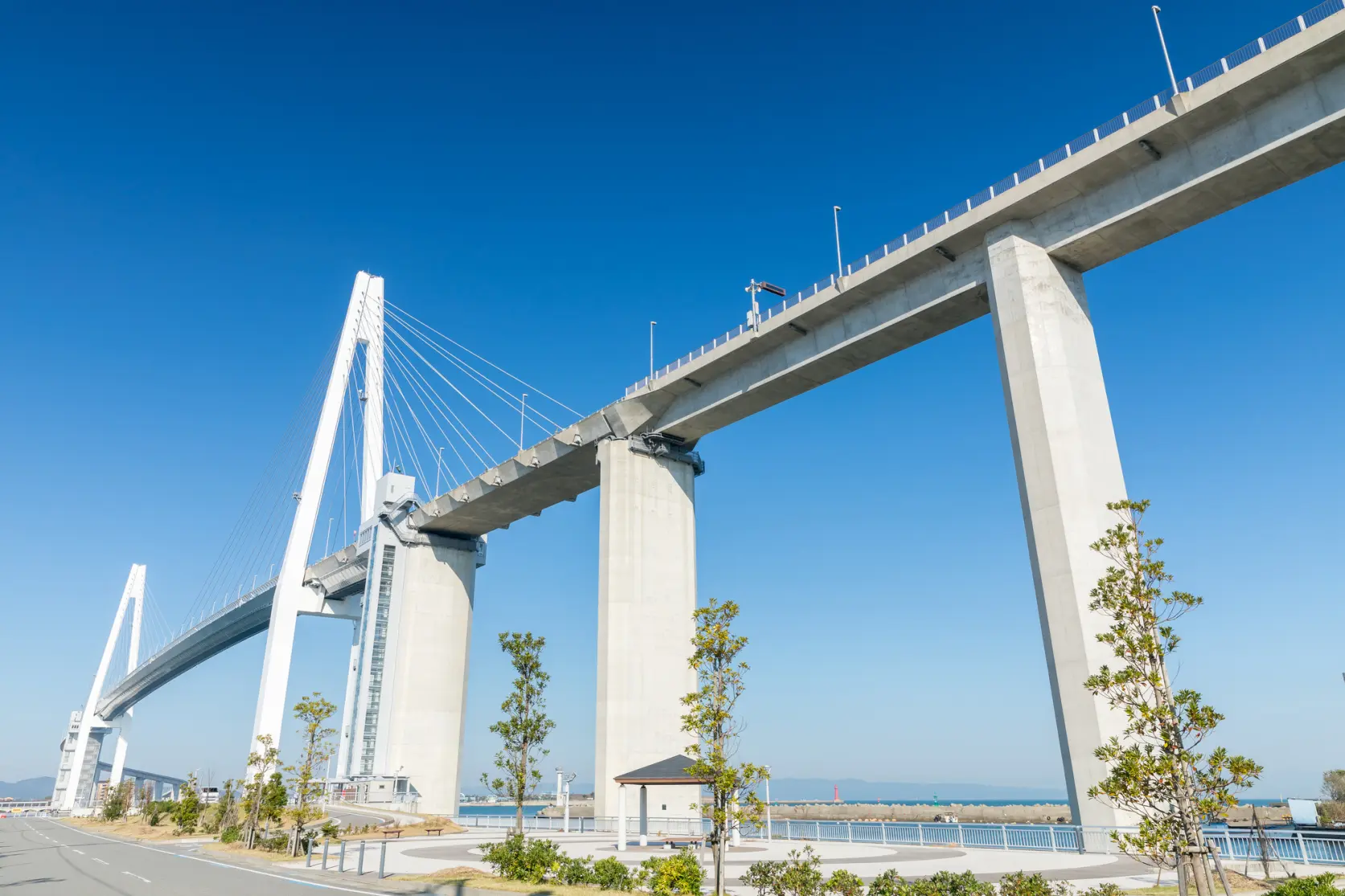 新湊大橋-5
