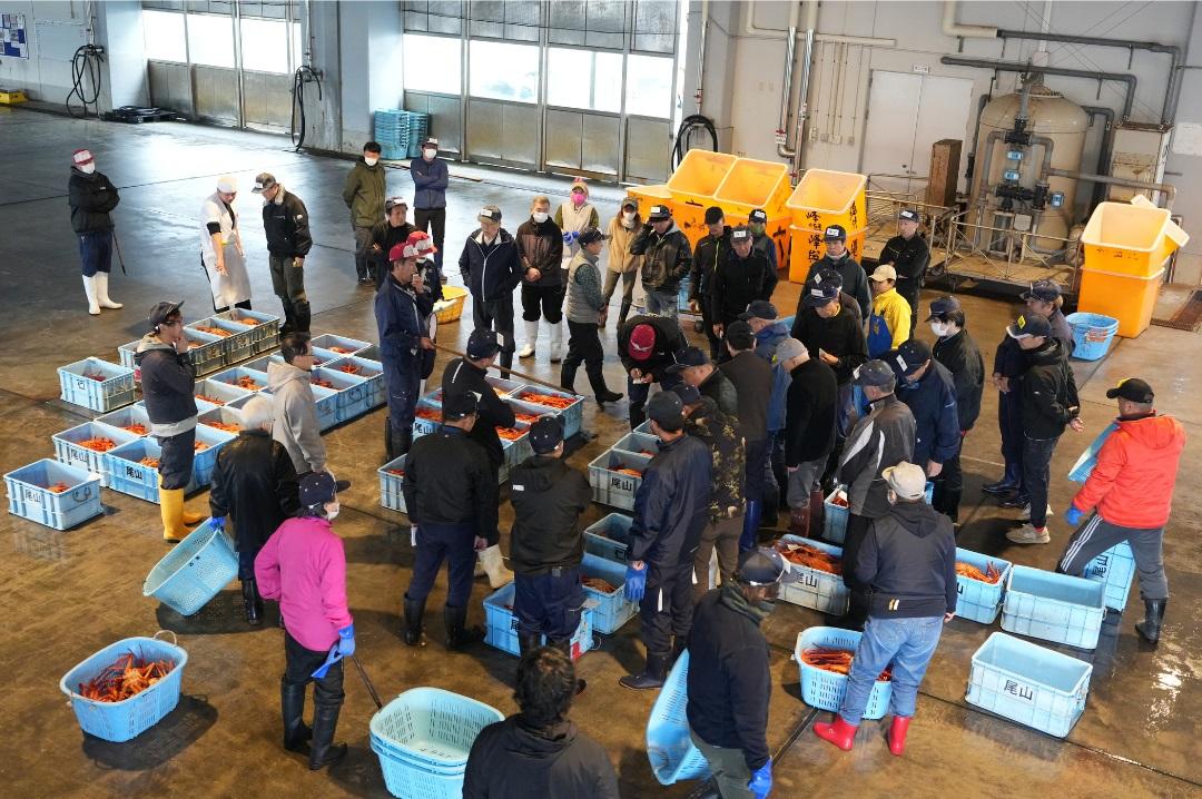 新湊漁港（昼セリ）・新湊きっときと市場