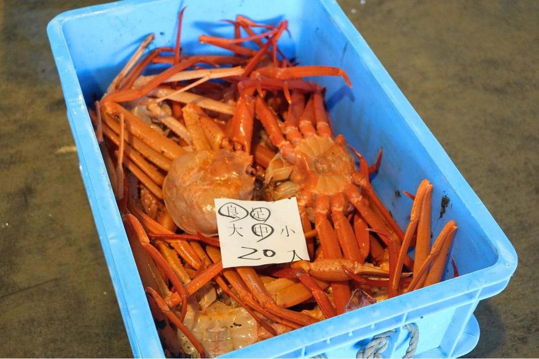 新湊漁港（昼セリ）・新湊きっときと市場