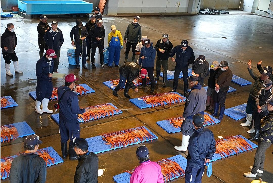 新湊漁港（昼セリ）・新湊きっときと市場