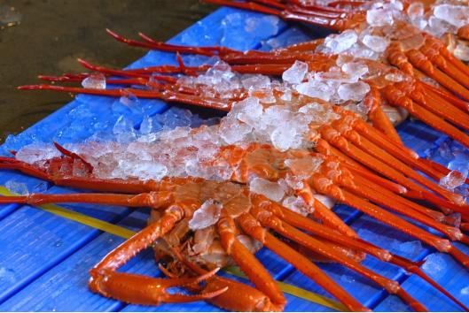 新湊漁港の昼セリ見学-0