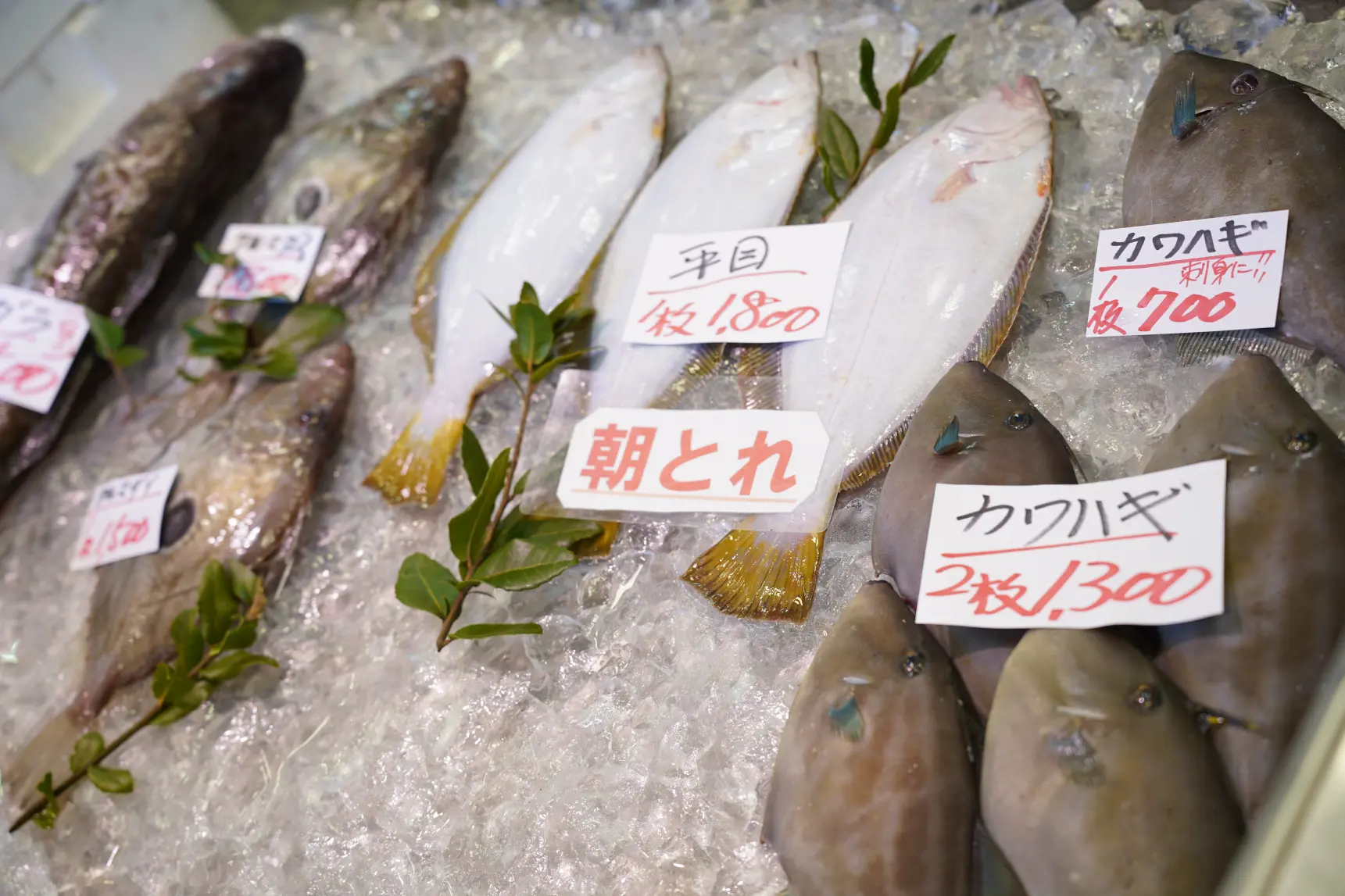 Himi Banya-gai Harbour Market and Soyu Onsen Village-3